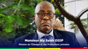 Scopri di più sull'articolo Le Sénégal et l’Ukraine signent un protocole d’accord pour renforcer leur coopération dans le secteur agricole