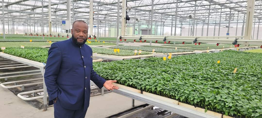 Al momento stai visualizzando LE JEUNE CAMEROUNAIS QUI REVOLUTIONNE LA CULTURE SOUS SERRE EN AFRIQUE CENTRALE