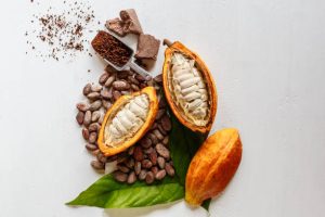 Demi-cabosses de cacao aux fruits de cacao et poudre de cacao. crédit photo : istock