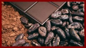 Chocolat en poudre, barre de chocolat cristallisé et grue de cacao . Crédit photo : Technomitron