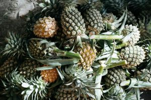 Scopri di più sull'articolo Le secteur de l’ananas au Cameroun : ce qu’il faut savoir