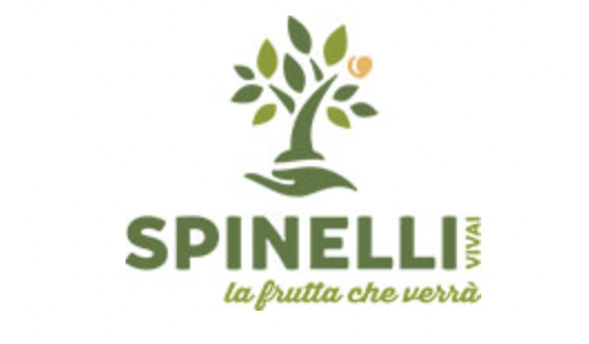 Al momento stai visualizzando vivai spinelli