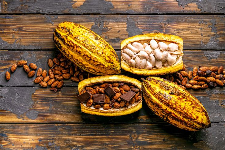 Les sous-produits du cacao