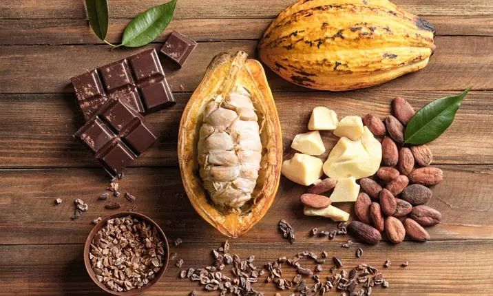 Le cacao et ses variétés