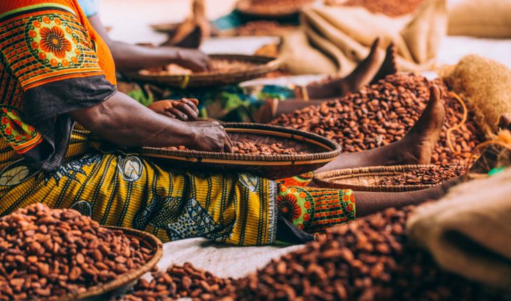 Le cacao en 2025 : placement stratégique ou pari dangereux ?