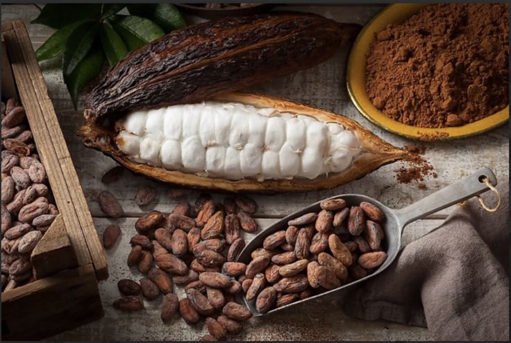 Métaux lourds dans les fèves de cacao