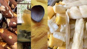 Scopri di più sull'articolo L’or blanc de l’Afrique : Cartographie des marchés du manioc en forte croissance