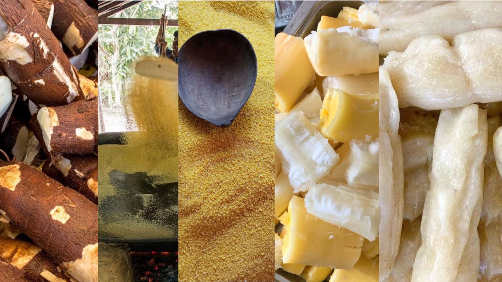 Al momento stai visualizzando L’or blanc de l’Afrique : Cartographie des marchés du manioc en forte croissance
