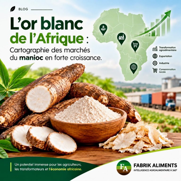 L’or blanc de l'Afrique : Cartographie des marchés du manioc en forte croissance