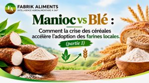 Scopri di più sull'articolo Manioc vs Blé : Comment la crise des céréales accélère l’adoption des farines locales. (Partie1)