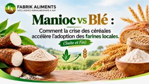 Scopri di più sull'articolo Manioc vs Blé : Comment la crise des céréales accélère l’adoption des farines locales. (Suite et fin)